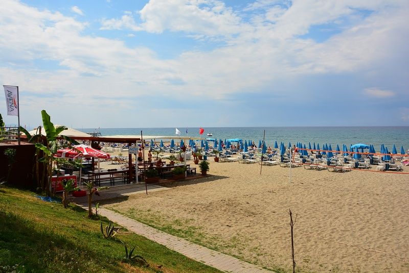 Hotel Avena & 4*
